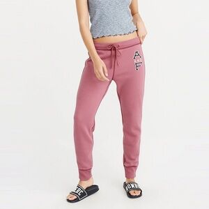 Abercrombie & Fitch Dusty Rose Jogger Sweatpants